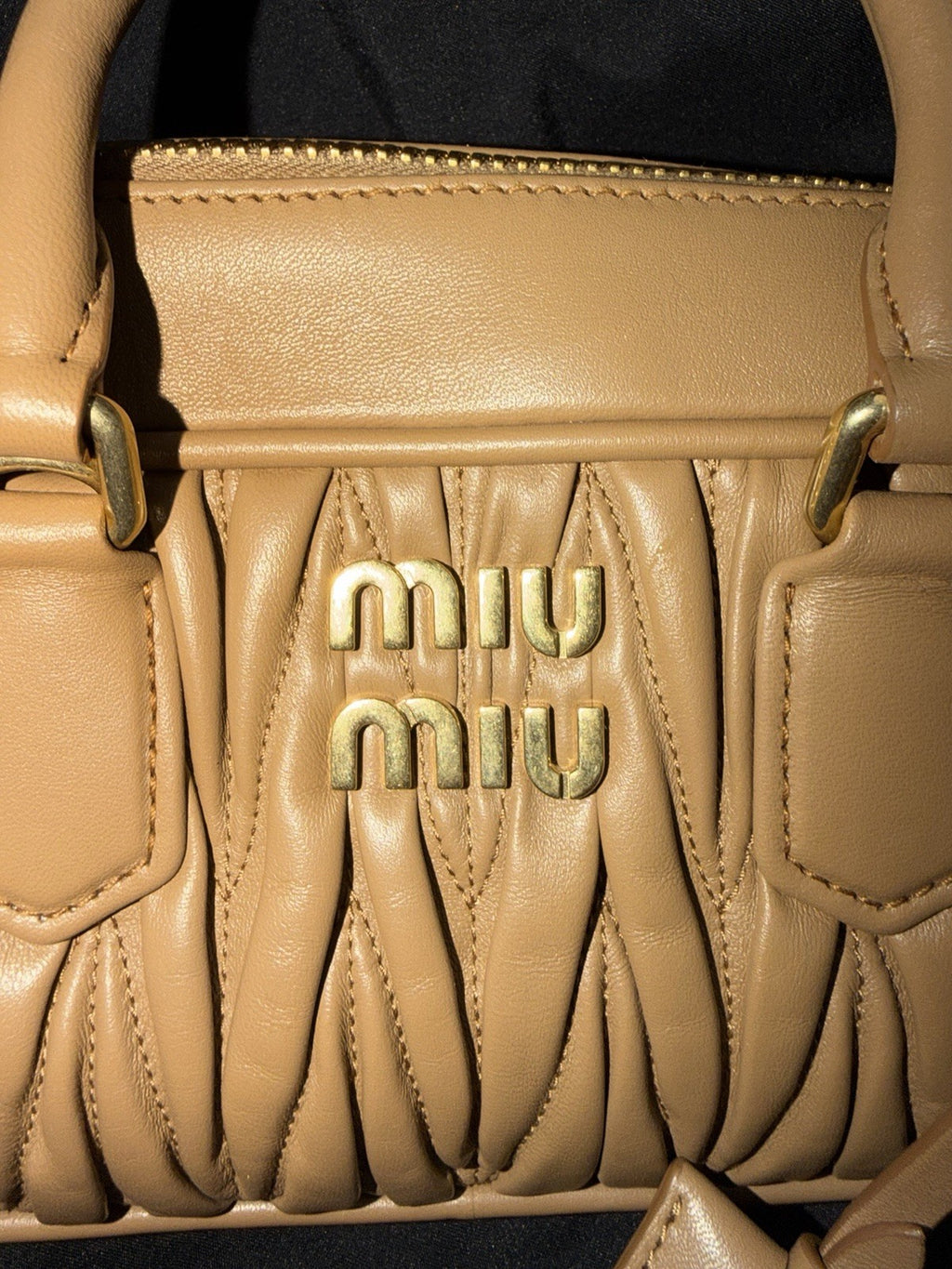 Miu Miu Arcadie Bag