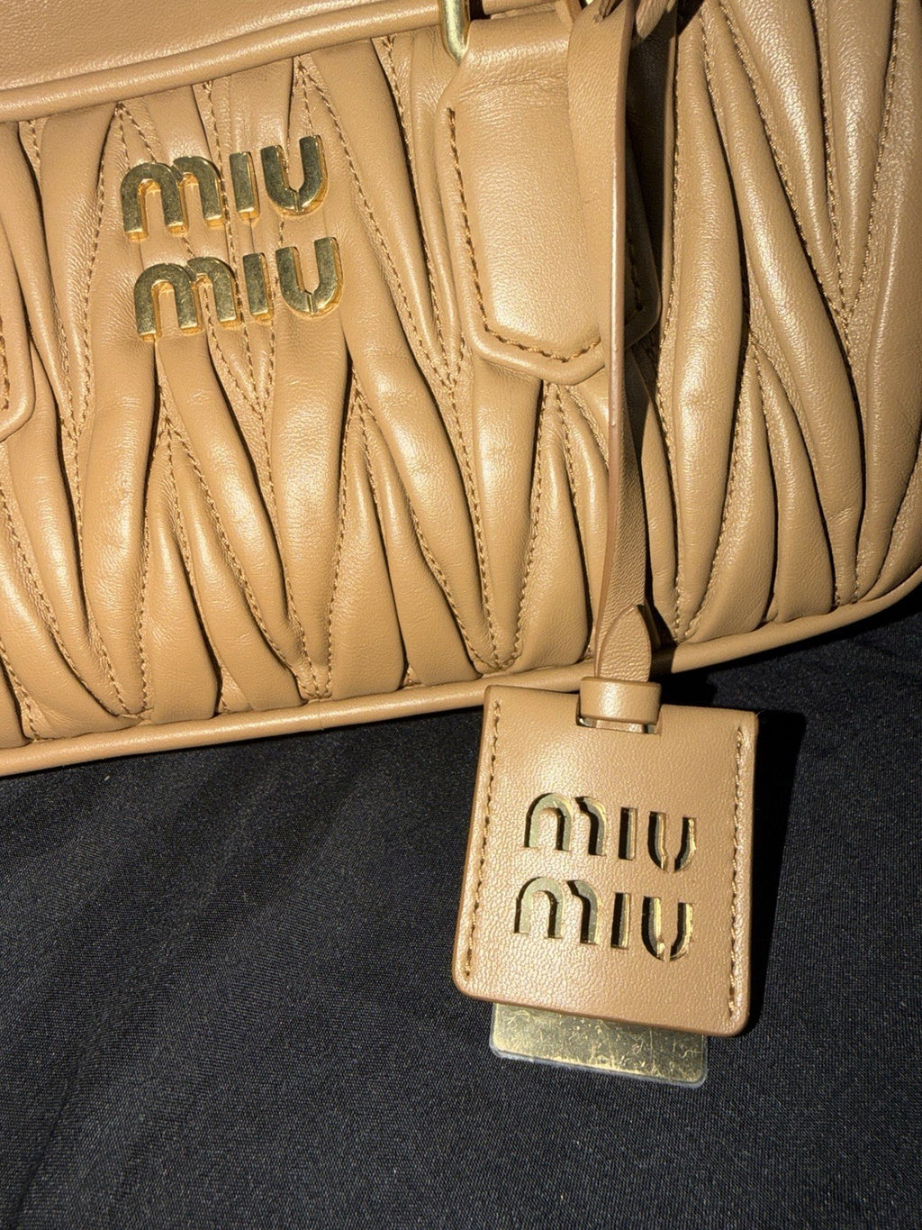 Miu Miu Arcadie Bag
