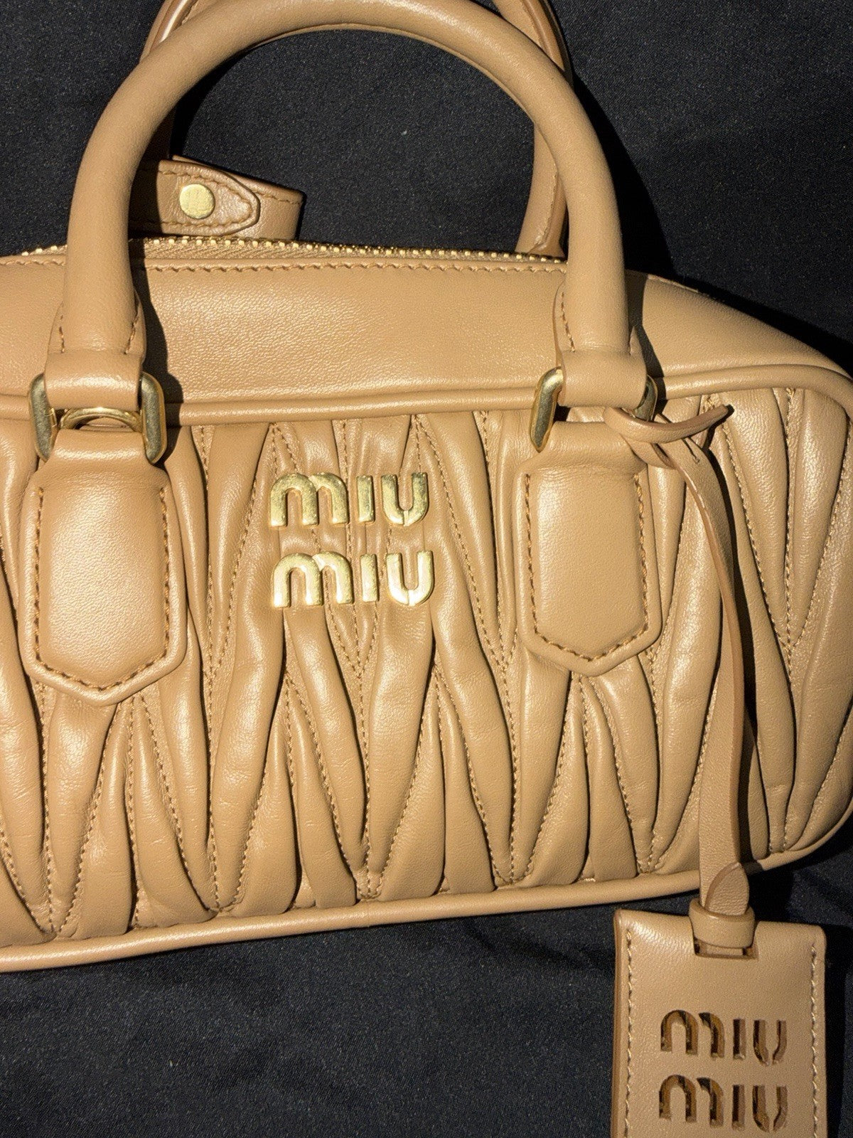 Miu Miu Arcadie Bag